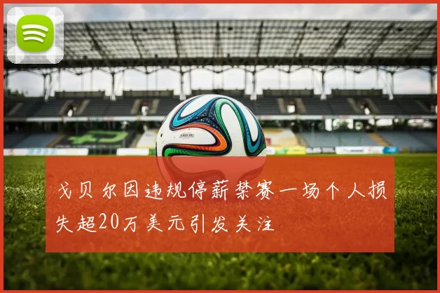 戈贝尔因违规停薪禁赛一场个人损失超20万美元引发关注